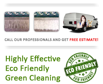 eco friendly cleaning