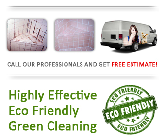 eco friendly cleaning